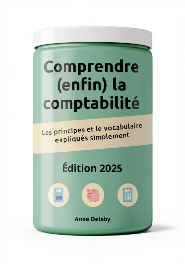 Ludilearn French Business Accounting Kindle eBook – 82‑Page Short Read-0