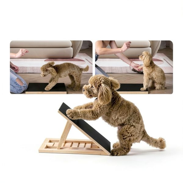 Dog Nail Scratch Pad Xipet Non Slip Sandpaper Board with Filing Pads-1