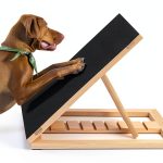 Dog Nail Scratch Pad Xipet Non Slip Sandpaper Board with Filing Pads-0