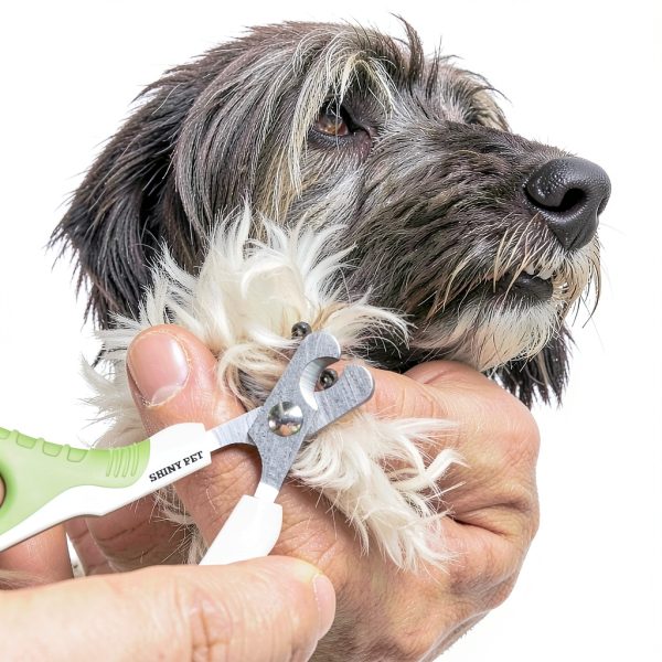Pet Nail Clippers SHINY PET for Cats & Dogs – Angled Blades, Grip-8